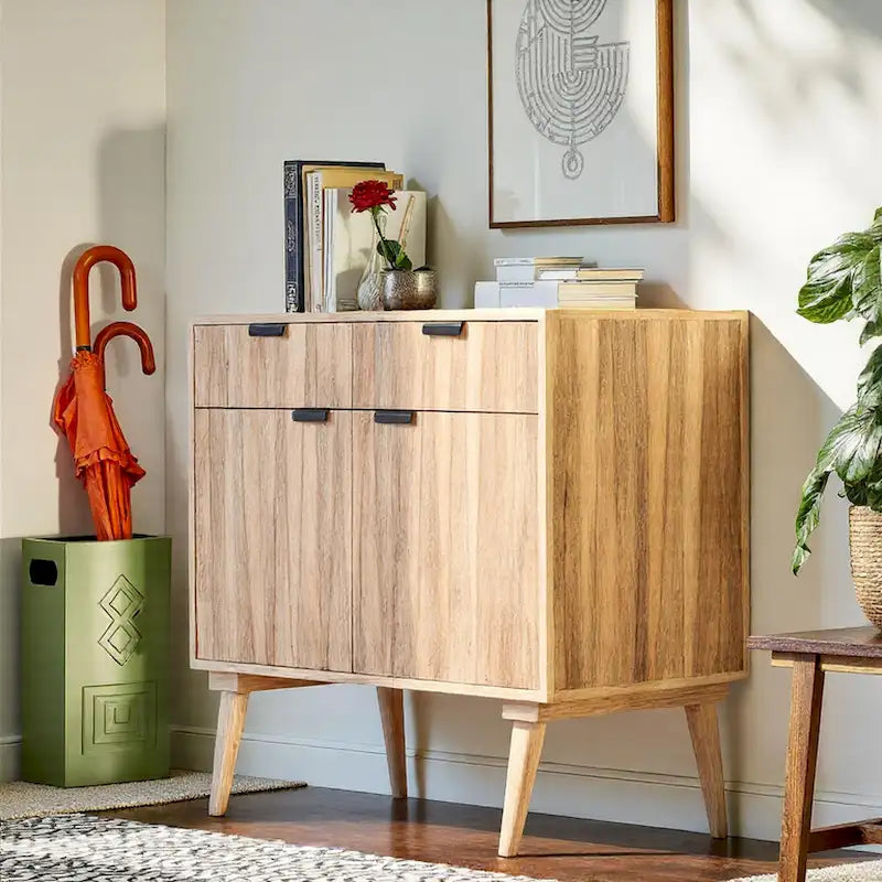 Mid-Century Modern Handcrafted Mango Wood 2 Drawer Cabinet with 2 Doors by