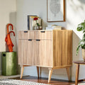 Mid-Century Modern Handcrafted Mango Wood 2 Drawer Cabinet with 2 Doors by