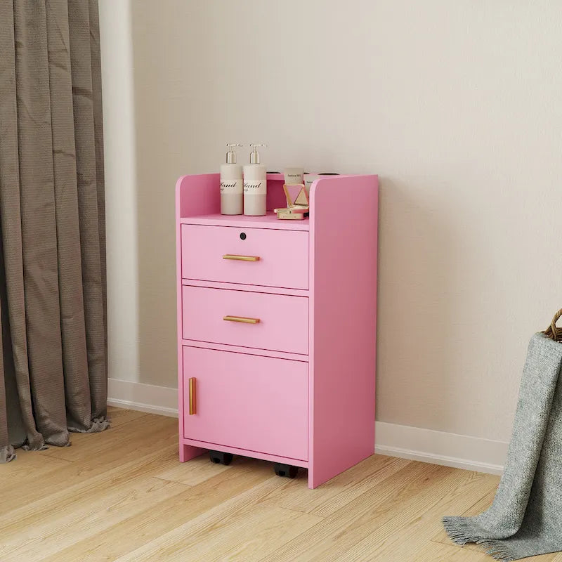 Locking Storage Cabinet with Drawer